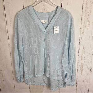 Treasure & Bond Blue V-Neck Striped Blouse